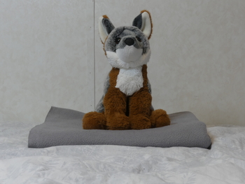 Unnamed 22 (Gray Fox, Douglas)